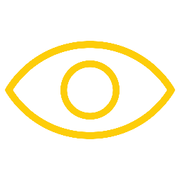 Vision Icon
